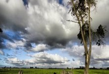 伯恩茅斯大胜对手，继续向前冲