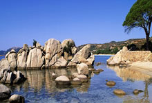 河南建业告捷，客场力克武汉卓尔，稳步向前迈进